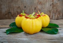 Garcinia cambogia