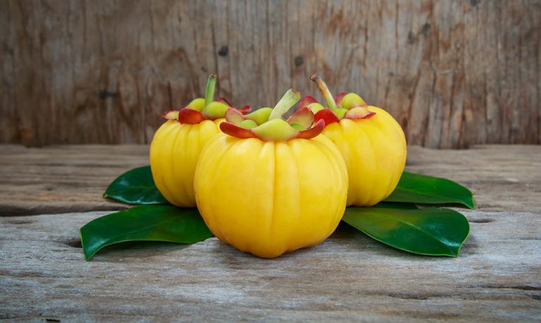 Garcinia cambogia