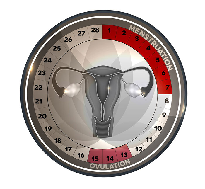 Izračun ovulacije