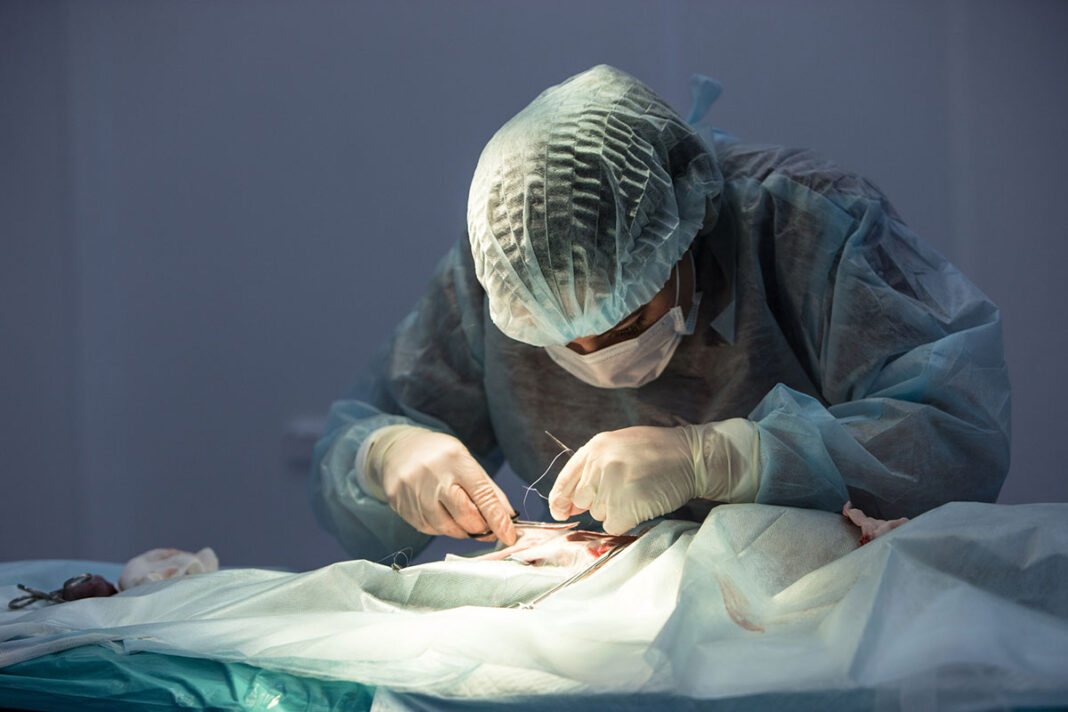Operacija možganov prvič uspešno izvedena na fetusu v maternici